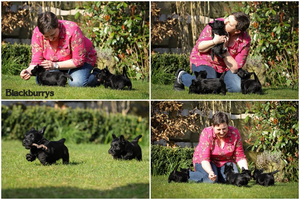 Kuschelstunde mit Welpen im Garten